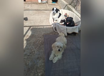 Wilma - sollte sterben