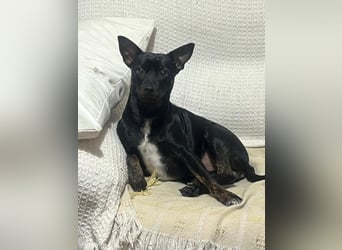 Marco, wünscht sich wieder eine Familie