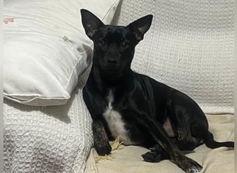 Marco, wünscht sich wieder eine Familie