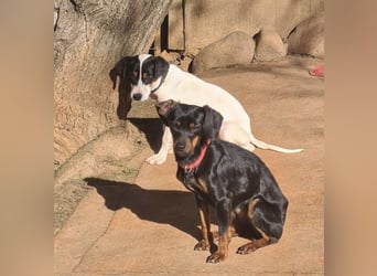 Katerine, eine kleine zarte Begleiterin