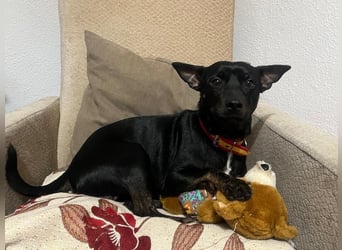 Marco, wünscht sich wieder eine Familie