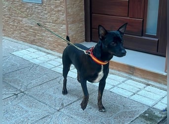 Marco, wünscht sich wieder eine Familie