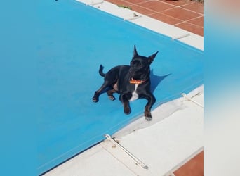 Marco, wünscht sich wieder eine Familie