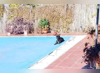 Marco-wünscht sich wieder eine Familie