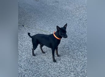 Marco-wünscht sich wieder eine Familie