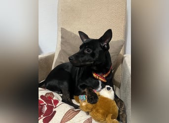 Marco-wünscht sich wieder eine Familie