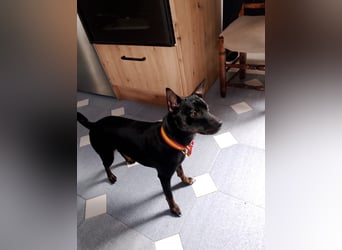 Marco-wünscht sich wieder eine Familie