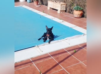 Marco-wünscht sich wieder eine Familie