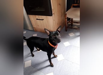 Marco, wünscht sich wieder eine Familie