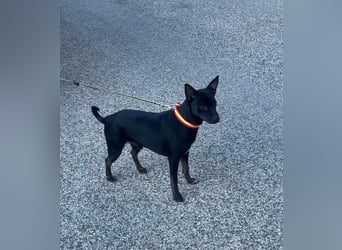 Marco, wünscht sich wieder eine Familie