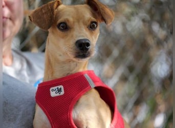 Wilde - ein Mischung aus Knutschkugel und Wirbelwind