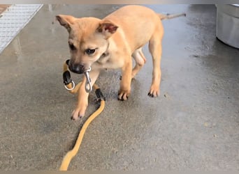 Ludmilla: 1000 Streichelhände gesucht