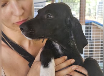 Marina: Kuschelmaus sucht Dich