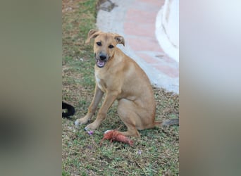 DELLA träumt vom eigenen Körbchen