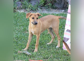 DELLA träumt vom eigenen Körbchen