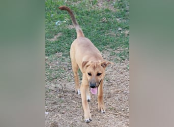 DELLA träumt vom eigenen Körbchen