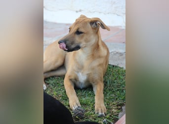 DELLA träumt vom eigenen Körbchen