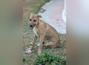 DELLA träumt vom eigenen Körbchen