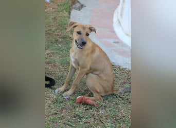 DELLA träumt vom eigenen Körbchen