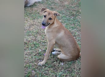 DELLA träumt vom eigenen Körbchen