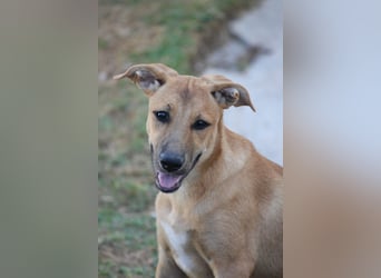 DELLA träumt vom eigenen Körbchen