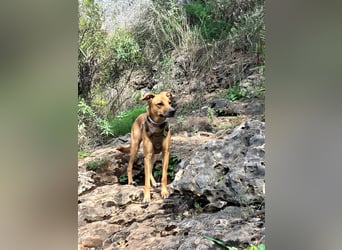 DELLA träumt vom eigenen Körbchen