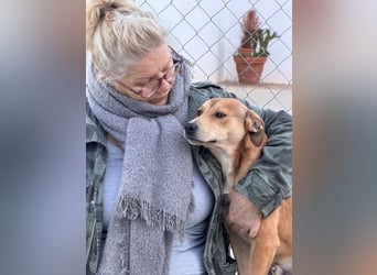 Azor wird dein Herz im Sturm erobern