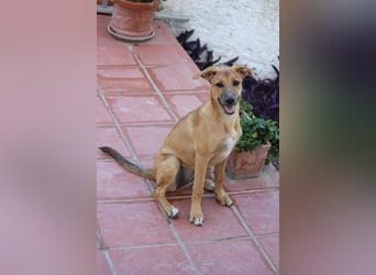 DELLA träumt vom eigenen Körbchen