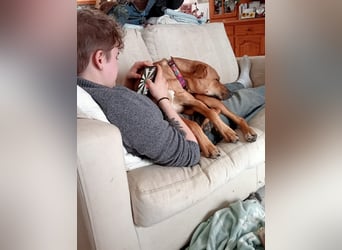 DELLA träumt vom eigenen Körbchen