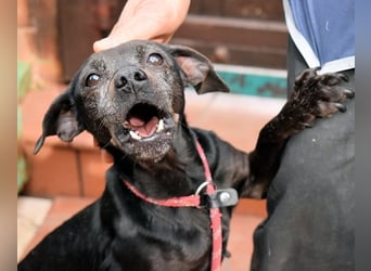 Ivonelle - Wenn Jahre dreifach zählen