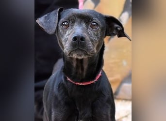 Ivonelle - Wenn Jahre dreifach zählen