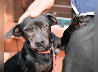 Ivonelle - Wenn Jahre dreifach zählen