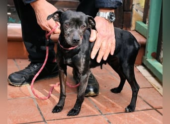 Ivonelle - Wenn Jahre dreifach zählen