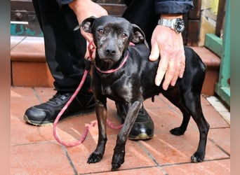 Ivonelle - Wenn Jahre dreifach zählen