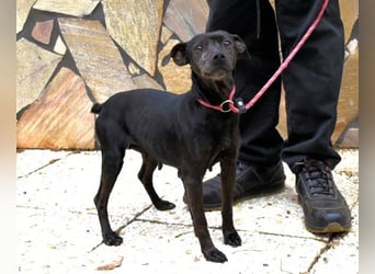 Ivonelle - Wenn Jahre dreifach zählen