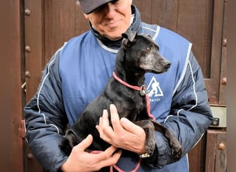 Ivonelle - Wenn Jahre dreifach zählen