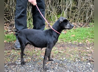 Ivonelle - Wenn Jahre dreifach zählen