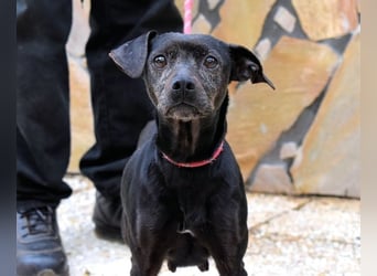 Ivonelle - Wenn Jahre dreifach zählen