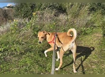 Mammola - ein sanftes Pflänzchen, die aufblühen möchte