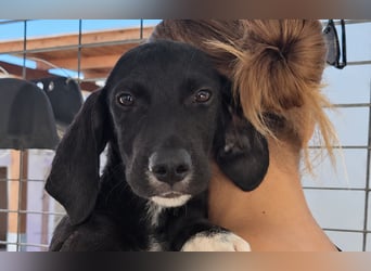 Marina: Kuschelmaus sucht Dich