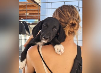 Marina: Kuschelmaus sucht Dich