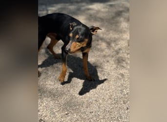 Raspa, muss noch Vertrauen fassen