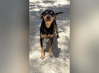 Raspa, muss noch Vertrauen fassen