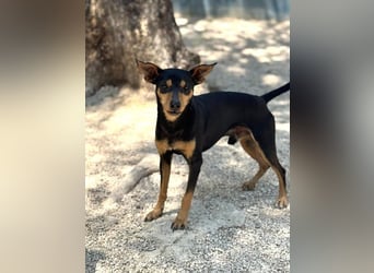 Raspa, muss noch Vertrauen fassen