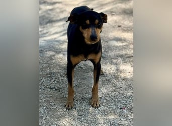 Raspa, muss noch Vertrauen fassen