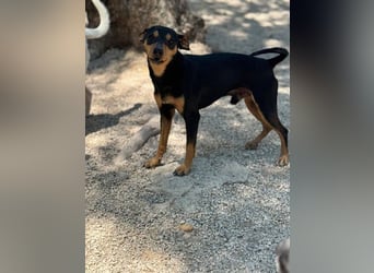 Raspa, muss noch Vertrauen fassen