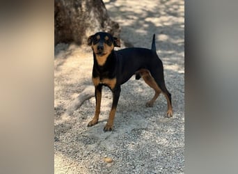 Raspa, muss noch Vertrauen fassen