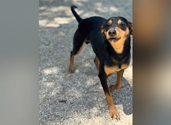 Raspa, muss noch Vertrauen fassen