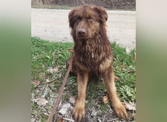 Yana möchte nur geliebt werden