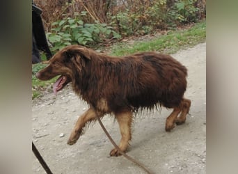 Yana möchte nur geliebt werden